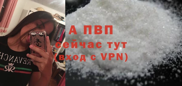 эйфоретик Сураж