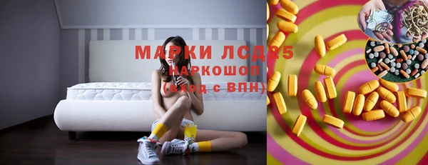 эйфоретик Сураж