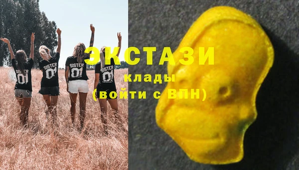 apvp Тайга