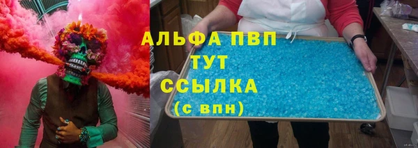 apvp Тайга