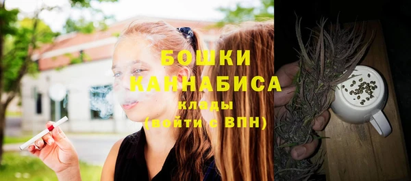 apvp Тайга
