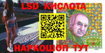 прущие грибы Заводоуковск