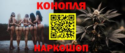 прущие грибы Заводоуковск