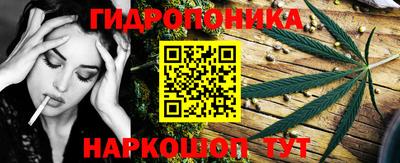прущие грибы Заводоуковск