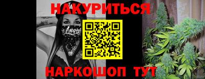 прущие грибы Заводоуковск