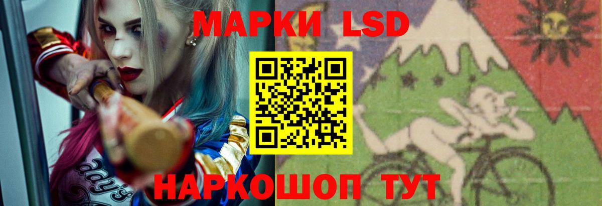 Альфа ПВП Шумерля